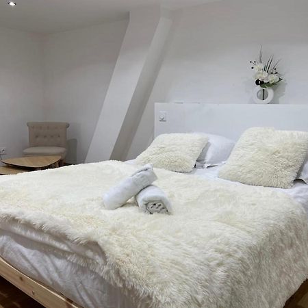 Апартаменти Le Duplex - Gare / Tram / Netflix Fontaine  Екстер'єр фото